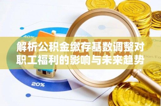 凌河解析公积金缴存基数调整对职工福利的影响与未来趋势