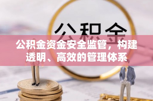 凌河公积金资金安全监管，构建透明、高效的管理体系