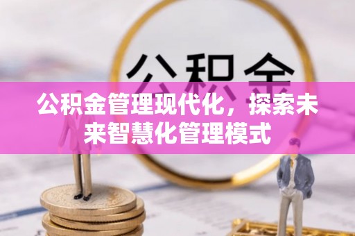 凌河公积金管理现代化，探索未来智慧化管理模式