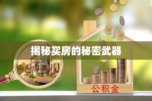凌河揭秘买房的秘密武器