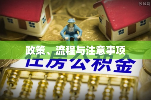 凌河政策、流程与注意事项