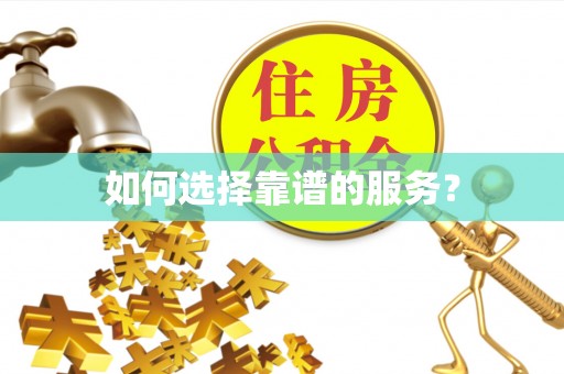 凌河如何选择靠谱的服务？